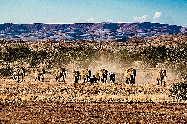 Reiseziel Gabun 