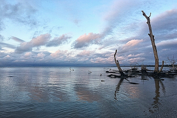 Reiseziel Guinea 