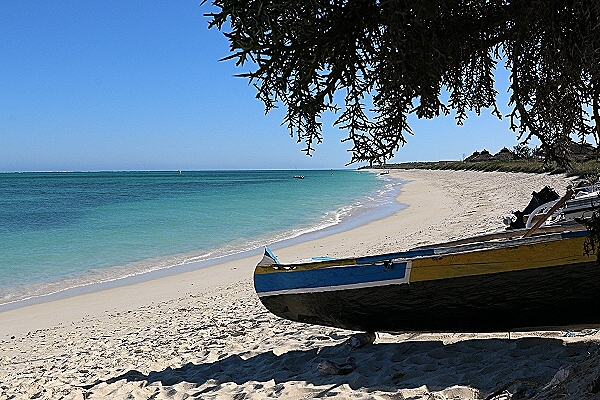 Reiseziel Dani Beach (Kenia)