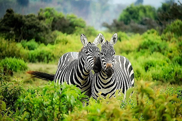 Reiseziel Lesotho 