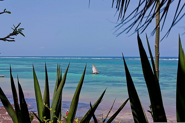 Reiseziel Malindi (Kenia)