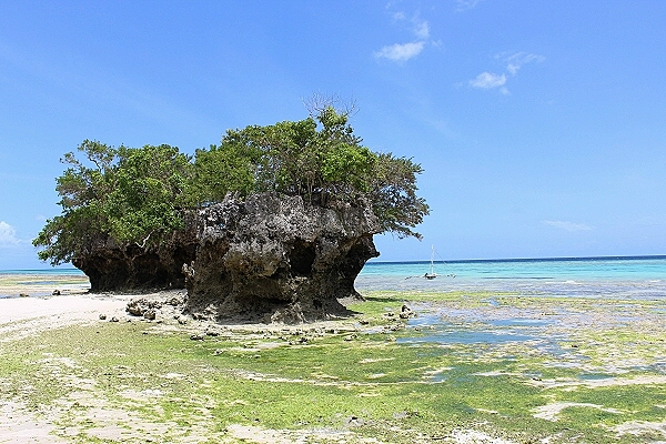 Reiseziel Pemba Island (Tansania)