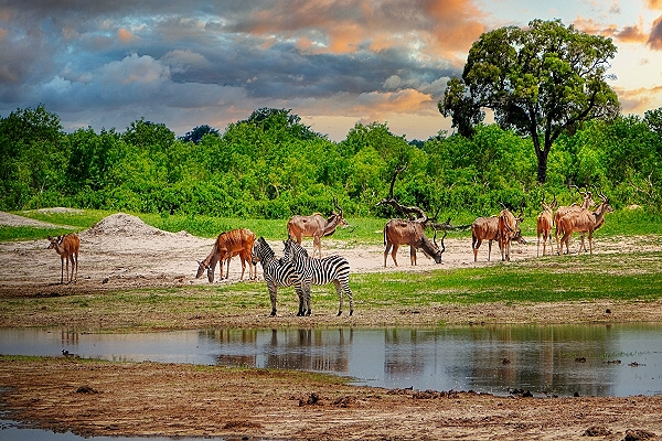 Reiseziel Südafrika 