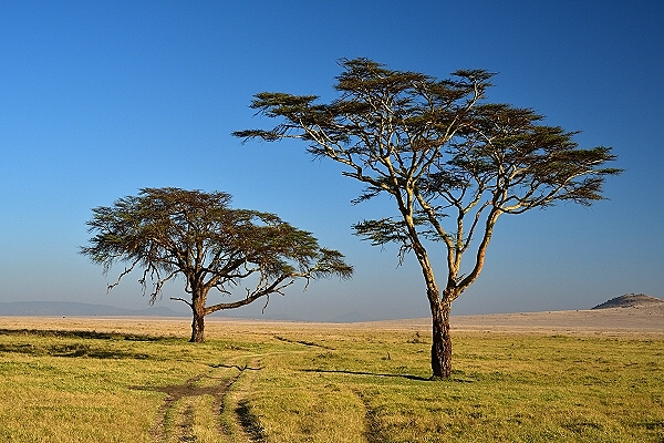 Reiseziel Südsudan 